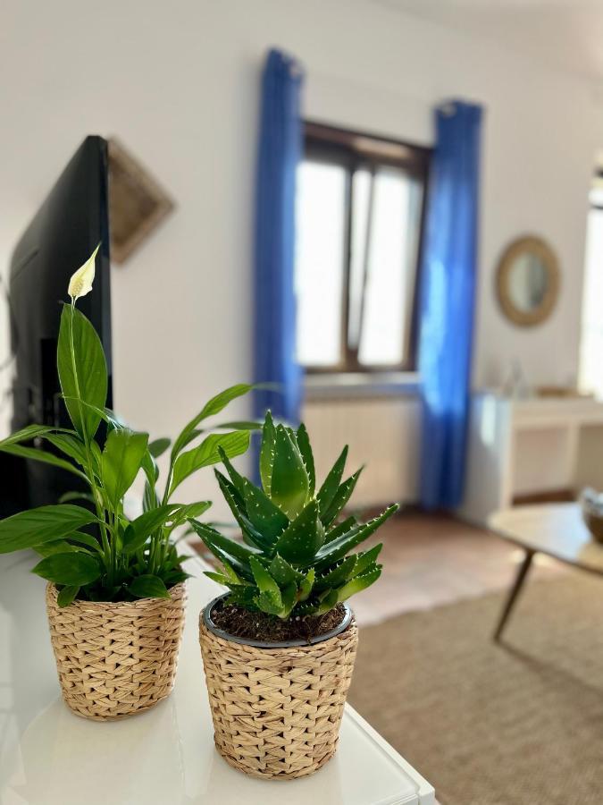 شقة Sea Breeze House فيوميتشينو المظهر الخارجي الصورة